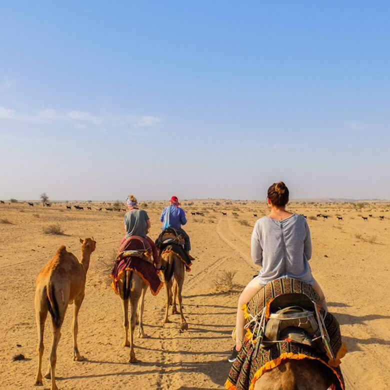 one-day-camel-safari-jaisalmer-ganpat-tours