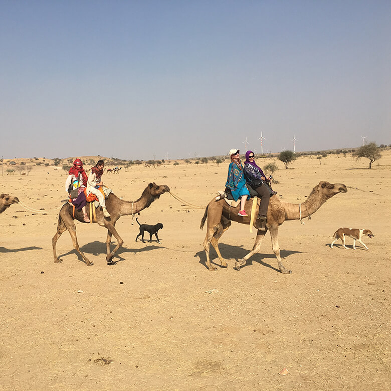 overnight-camel-safari-jaisalmer-ganpat-tours-and-travels