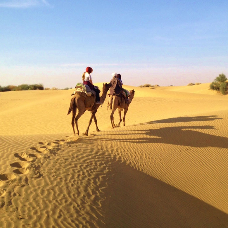special-camel-safari-jaisalmer-ganpat